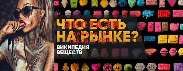 шишки Верея