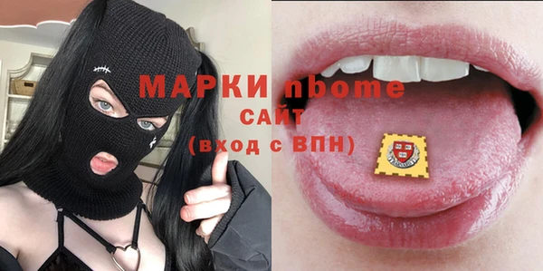 шишки Верея