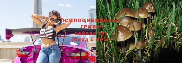 эйфоретик Кукмор