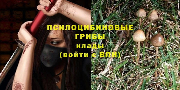 эйфоретик Кукмор