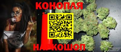 прущие крисы Комсомольск-на-Амуре