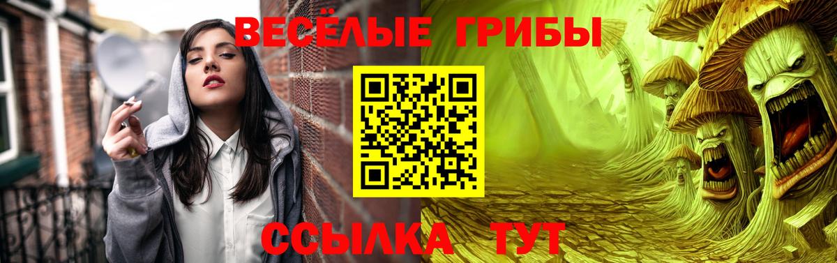 Псилоцибиновые грибы мухоморы Минеральные Воды